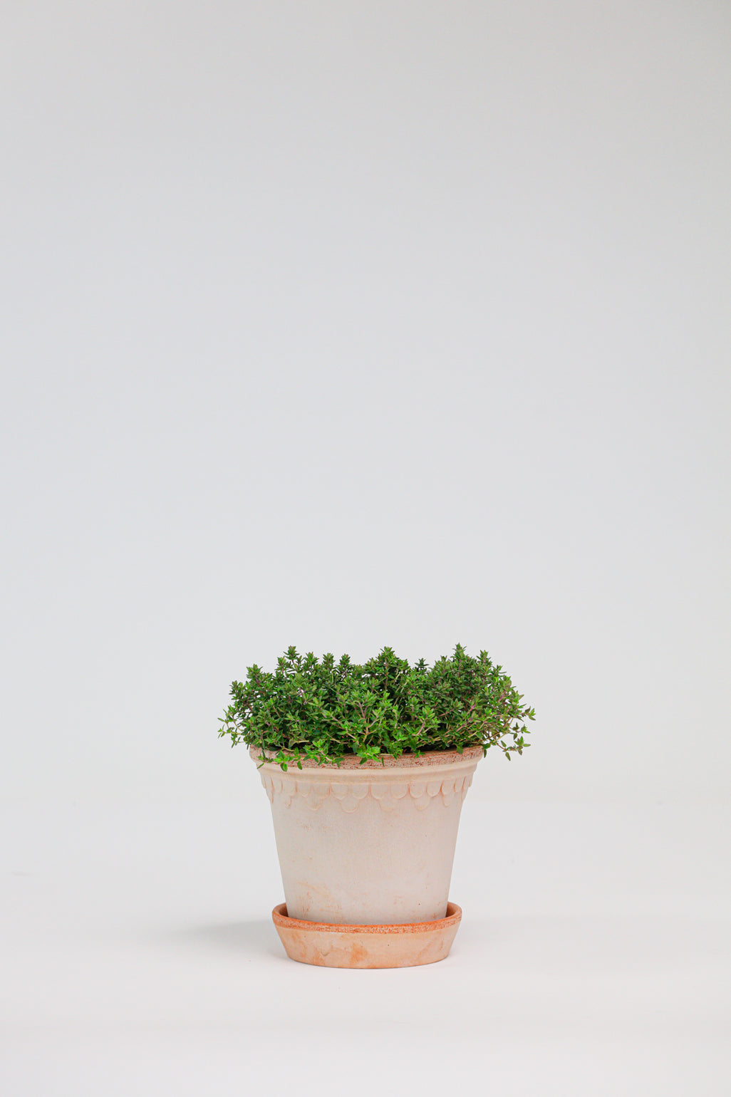 products/SotoProductShootLowQ-1719_1276afd3-24f4-4c25-8f1e-1484533132f9.jpg